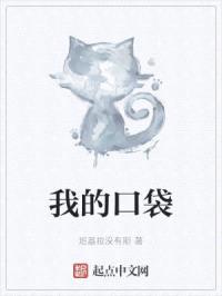 我的口袋封面