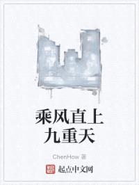 乘风直上九重天封面