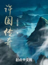 许国传奇封面