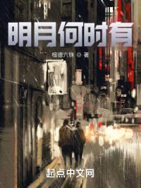 明月何时有封面