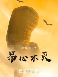 昂心不灭封面