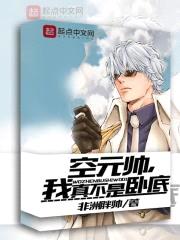 空元帅，我真不是卧底封面