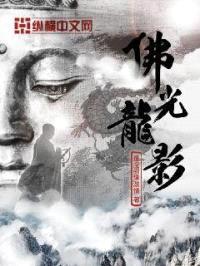 佛光龙影封面