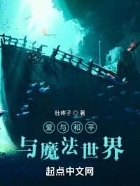 爱与和平与魔法世界封面