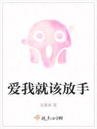 爱我就该放手封面