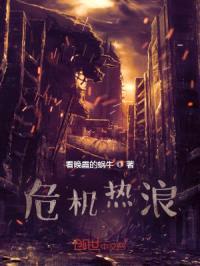 危机热浪封面