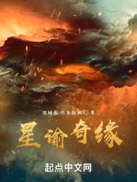 星谕奇缘封面