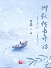 西游从柳毅传书开始封面