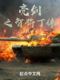 亮剑之智将丁伟封面