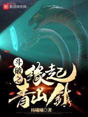 斗破之缘起青山镇封面