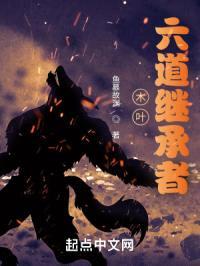 木叶：六道继承者封面