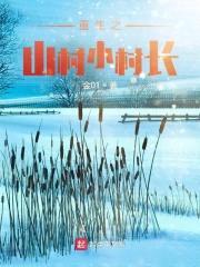 重生之山村小村长封面