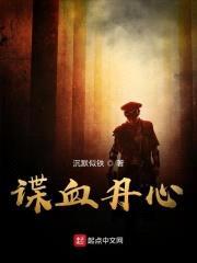 谍血丹心封面