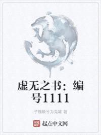 虚无之书：编号1111封面
