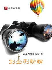 剑出别动鞘封面