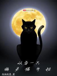 从当一只幽灵猫开始封面