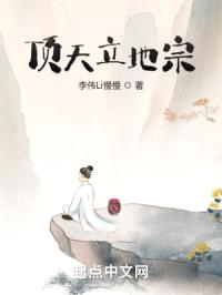顶天立地宗封面