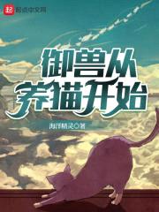 御兽从养猫开始封面