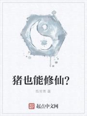 猪也能修仙？封面