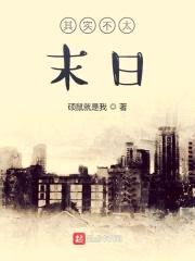 其实不太末日封面