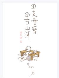 一支云簪一寸山河封面