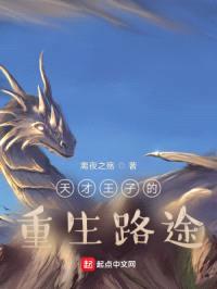 天才王子的重生路途封面