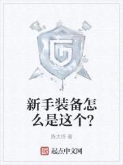 新手装备怎么是这个？封面