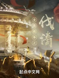 全面战争之伐清封面