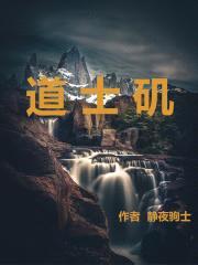 道土矶封面