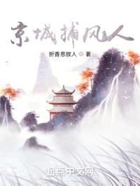 京城捕风人封面