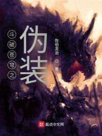 斗破苍穹之伪装封面