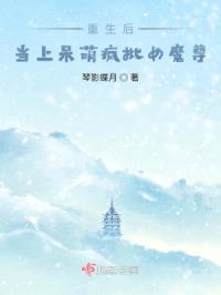 银雪赋封面
