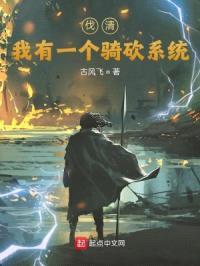 伐清：我有一个骑砍系统封面