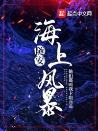 随安：海上风暴封面