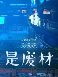 大叔不是废材封面