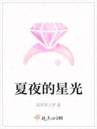 夏夜的星光封面
