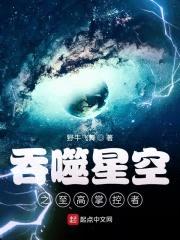 吞噬星空之至高掌控者封面