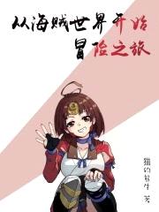 从海贼世界开始冒险之旅封面