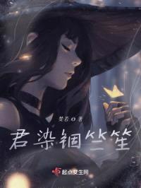 君染锢竺笙封面