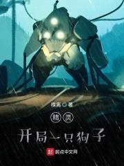 精灵：波导训练家封面