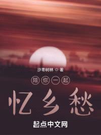 陪你一起乡愁封面