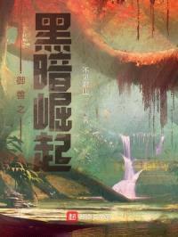 御兽之黑暗崛起封面