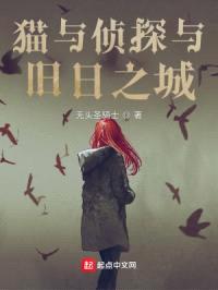 猫与侦探与旧日之城封面