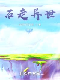 石走异世封面