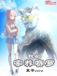 我的家养赛罗封面