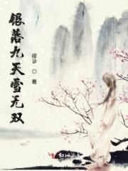 银落九天雪无双封面