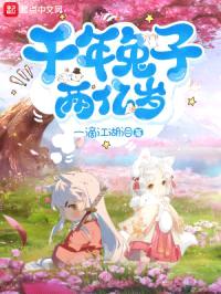 千年兔子两亿岁封面