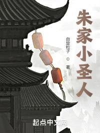 朱家小圣人封面