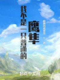 我不是一只普通的鹰隼封面
