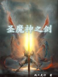 圣魔神之剑封面